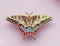 Eastern Tiger Swallowtail Butterfly Enamel Pin